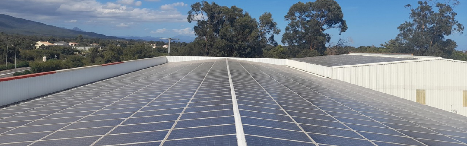 Directeur Développement Solaire PV France h/f Directeur Développement Solaire PV France h/f