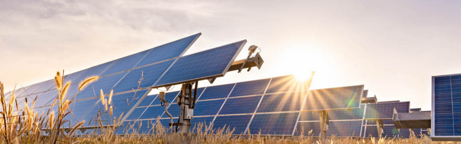 Responsable d’activité solaire France h/f Responsable d’activité solaire France h/f