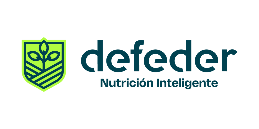 Logo DEFEDER